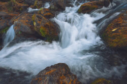 Dettaglio dell'acqua in movimento rapido tra rocce coperte di muschio e aghi di pino secche, scatto professionale di natura alpina