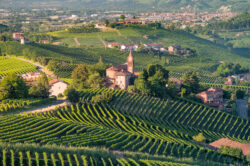 Vigneti e chiesa al centro delle Langhe al tramonto, Piemonte