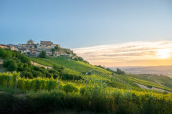 Vigneti del Barolo al tramonto con La Morra e chiesa sullo sfondo, colline delle Langhe, Piemonte