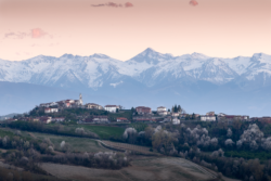 Vigneti delle Langhe, patrimonio UNESCO in Piemonte - Foto di Carlo Pagliuca