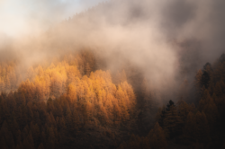 Scatto panoramico della Val Pellice in autunno con gli alberi arancioni che escono dalle nuvole. Fotografia di territorio piemontese di Carlo Pagliuca